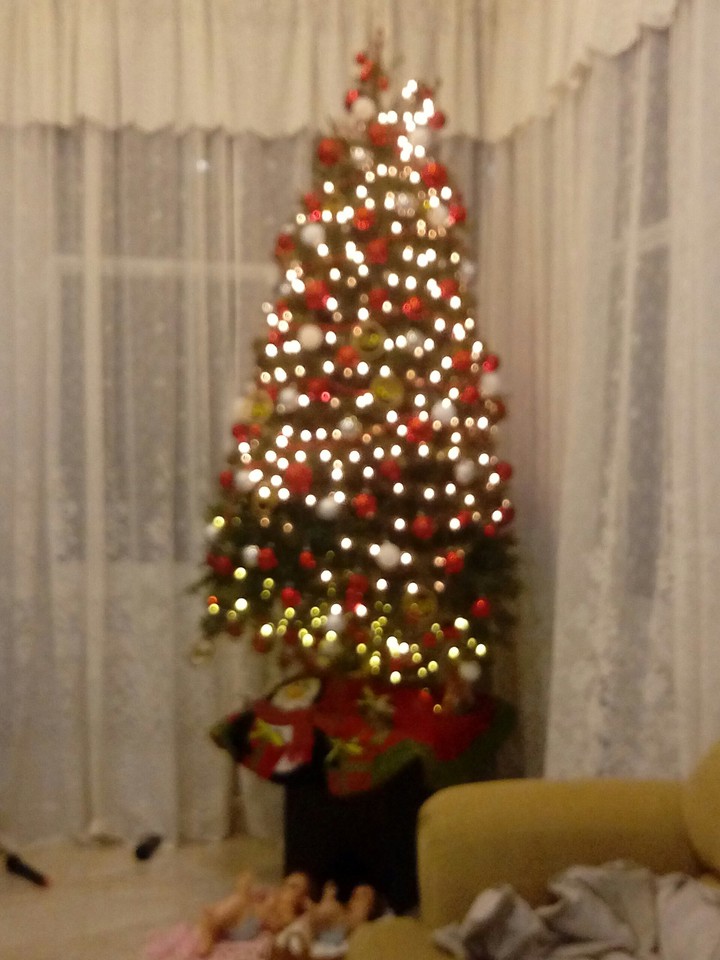 navidad
