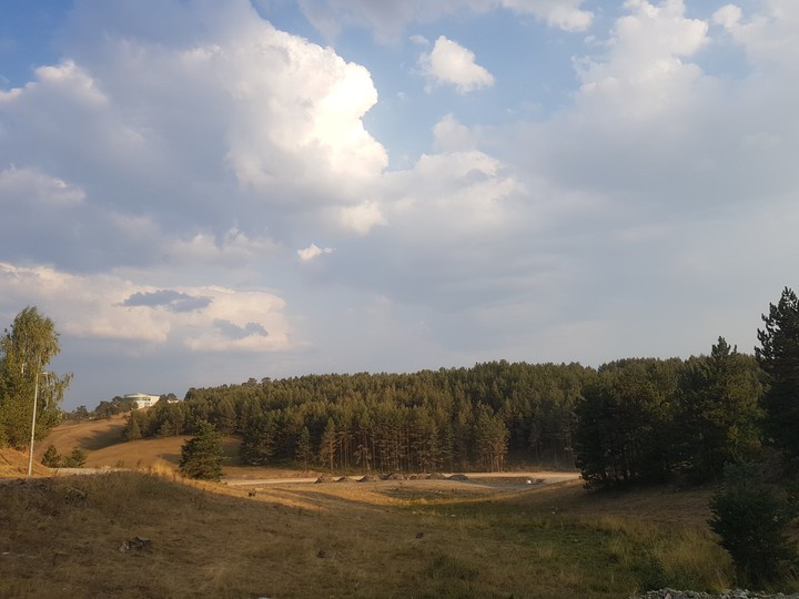 nature