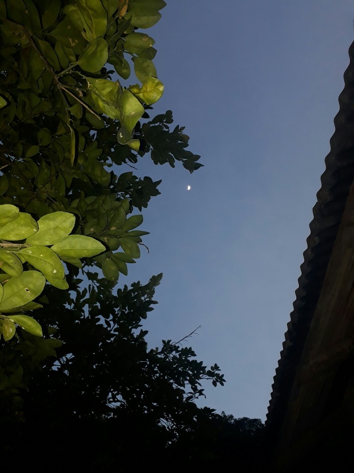 luna
