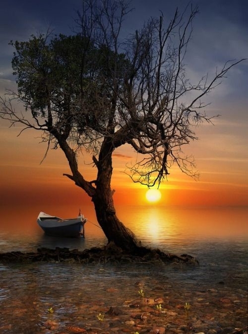 Ocaso