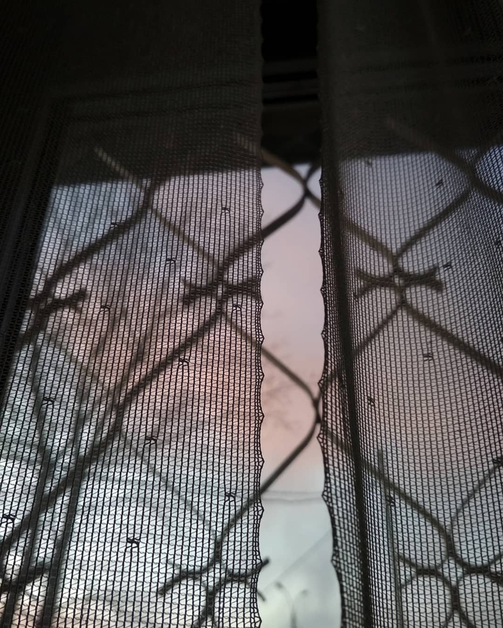 home