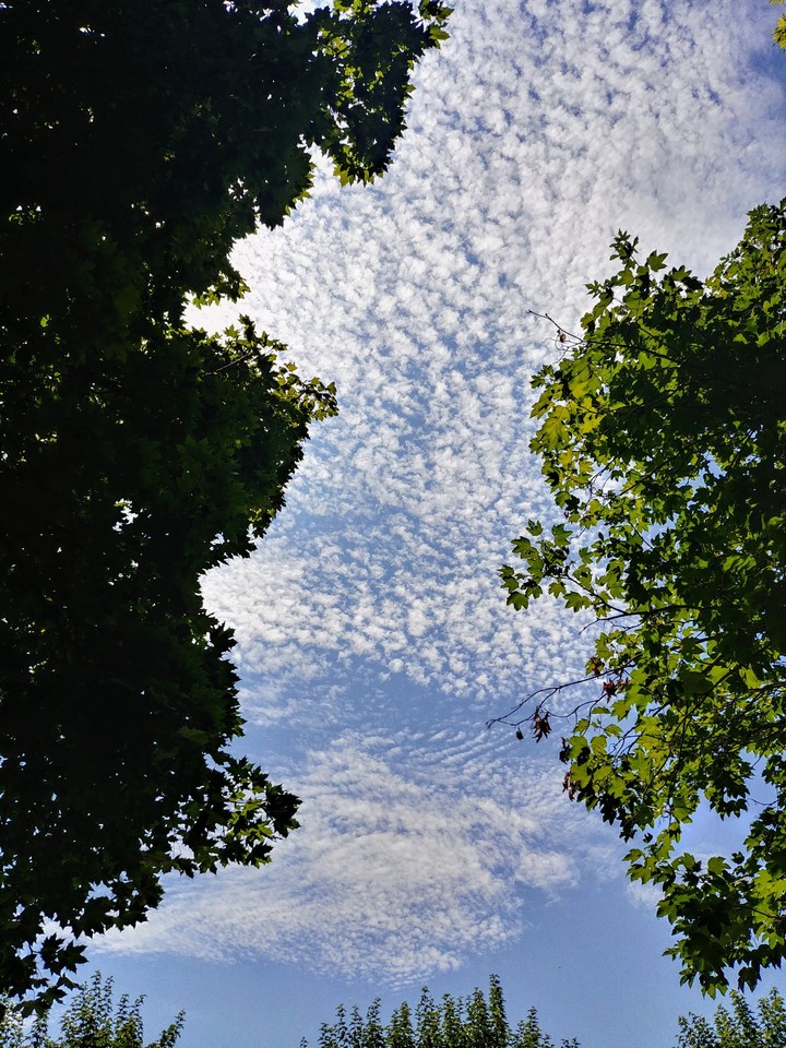 Summer