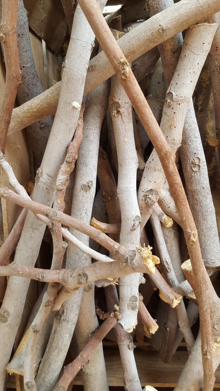 wood