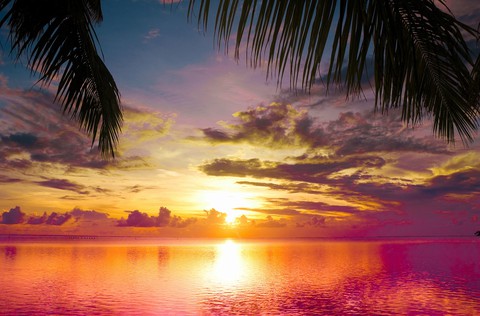 Nature's Beauty