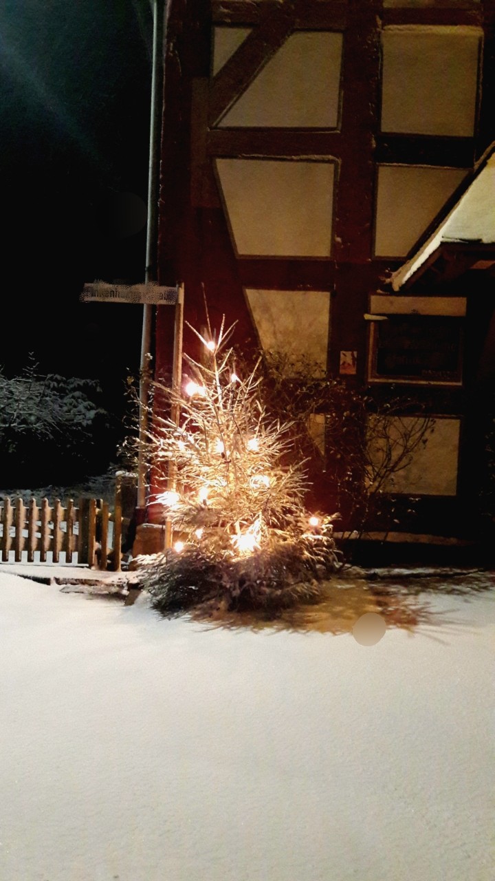 tree by the church