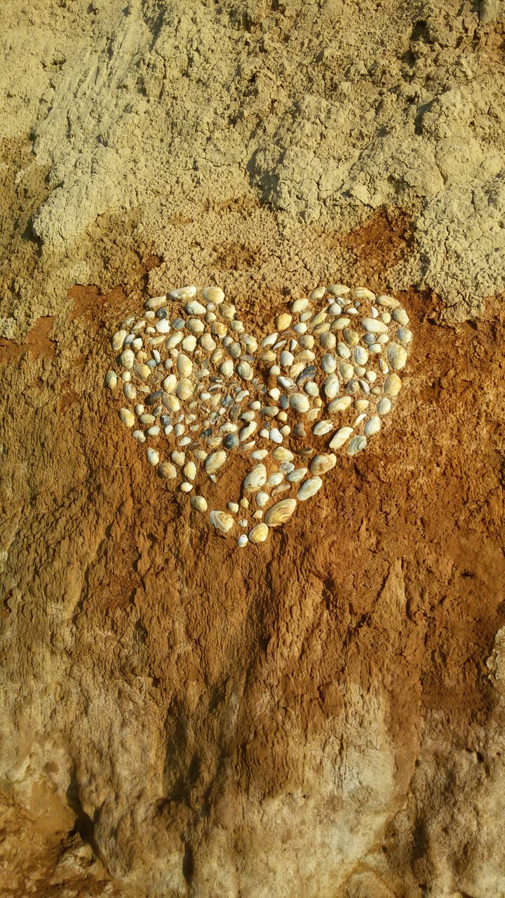 heart for love