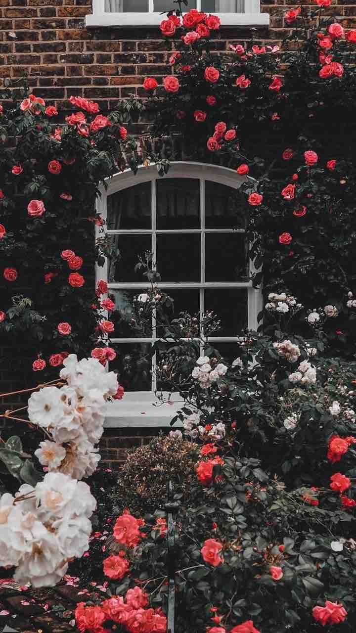 #flovers