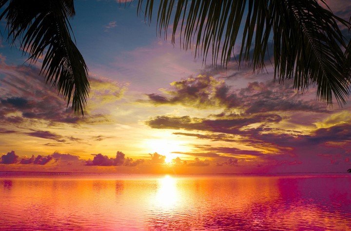 Nature's Beauty