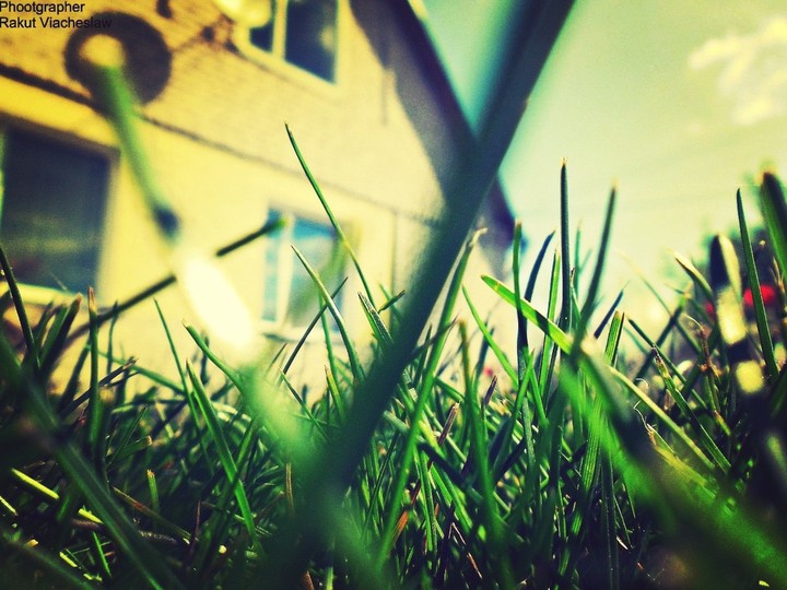 Природа