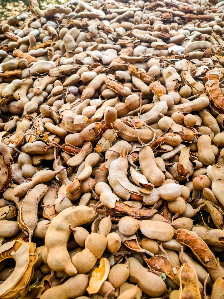Tamarind