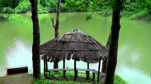 nature