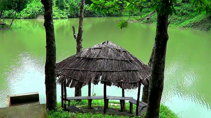 nature