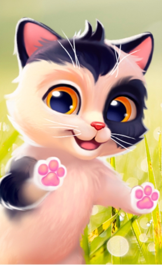 my cat