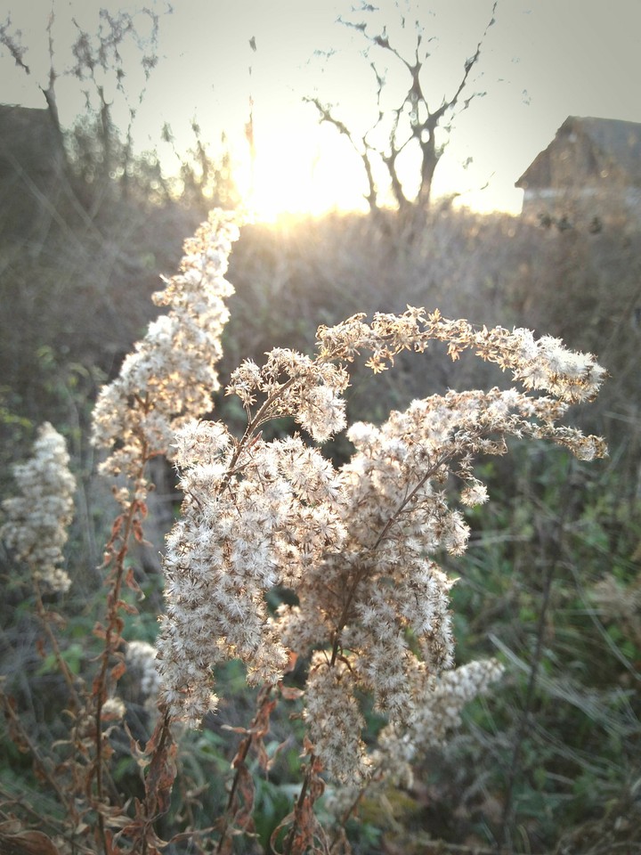 sunny autumn