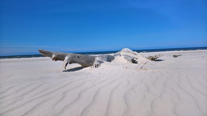 Beach, Blue sky, Baltic See, Poland