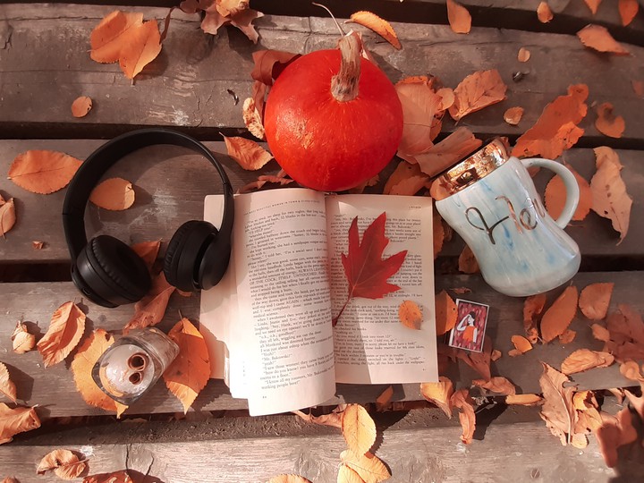 Autumn Vibes