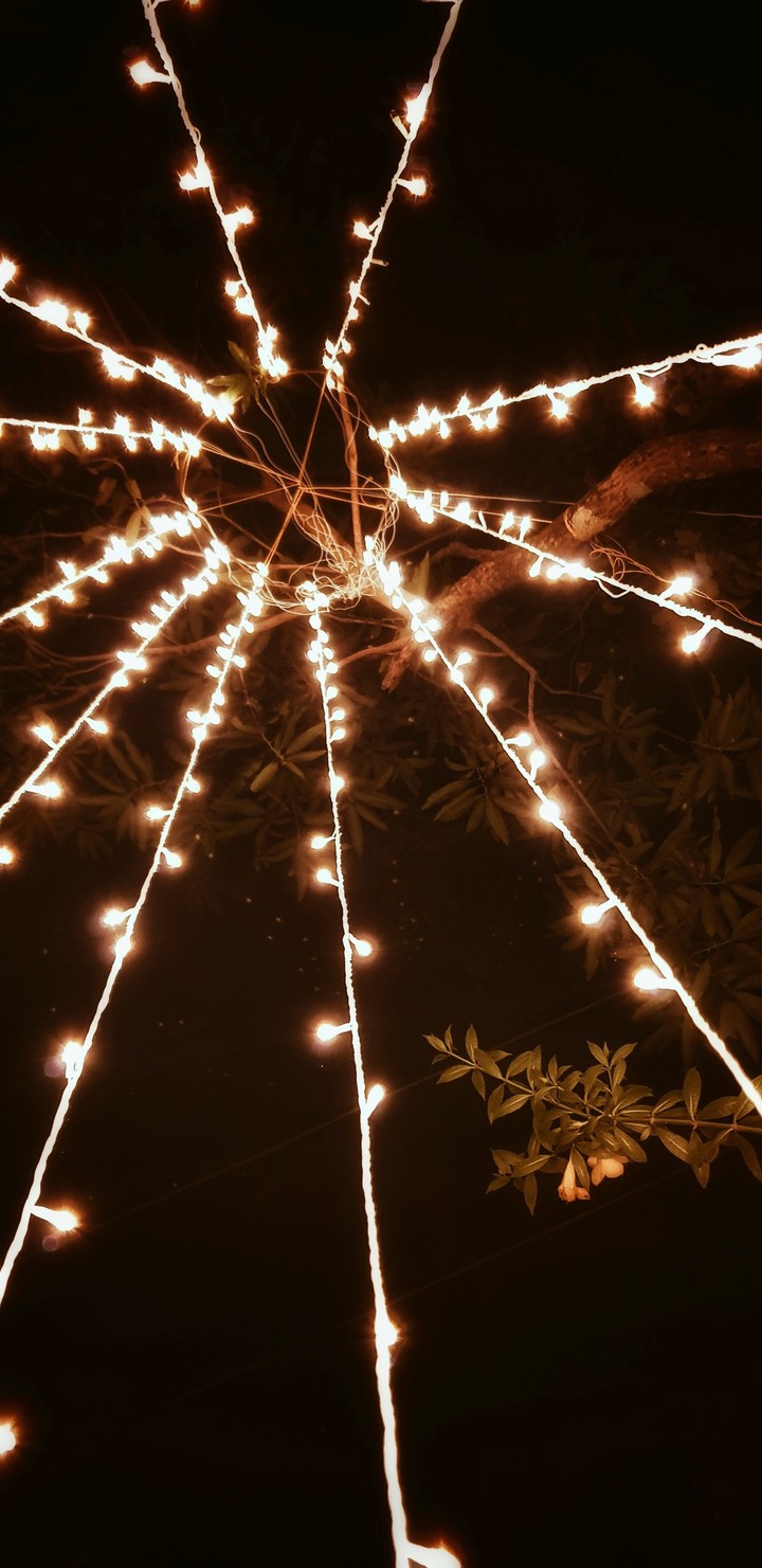 lights
