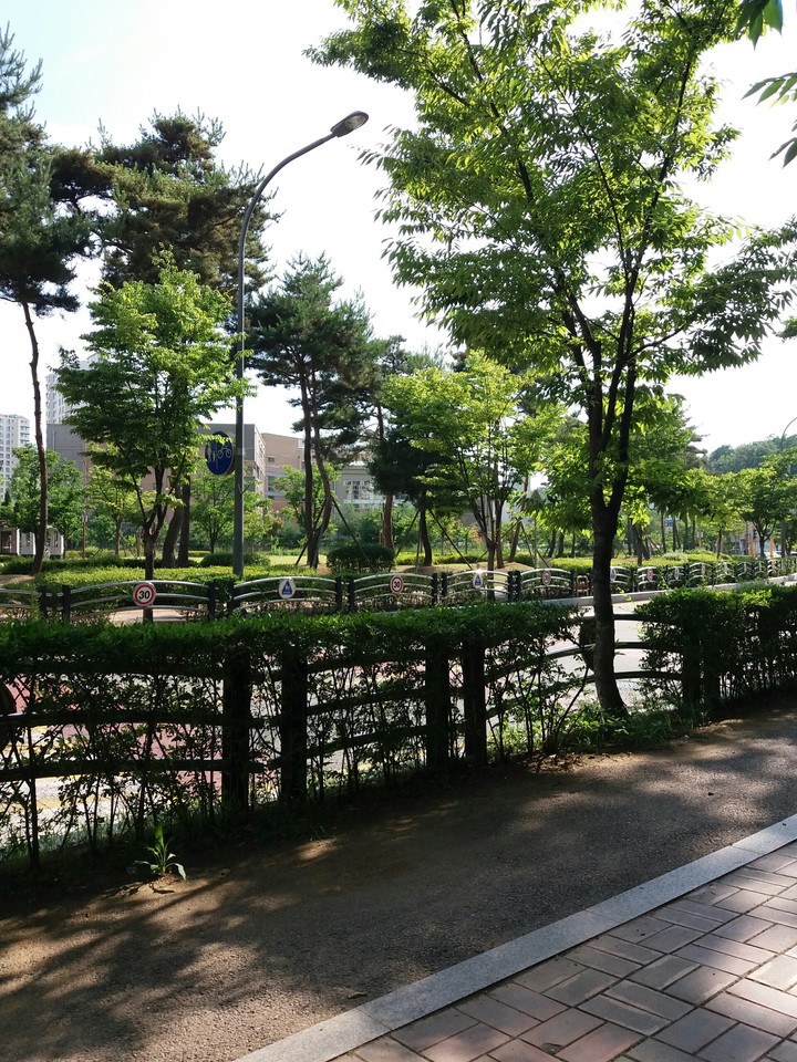 여름길