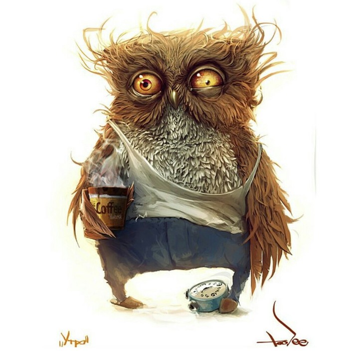 lazy owl