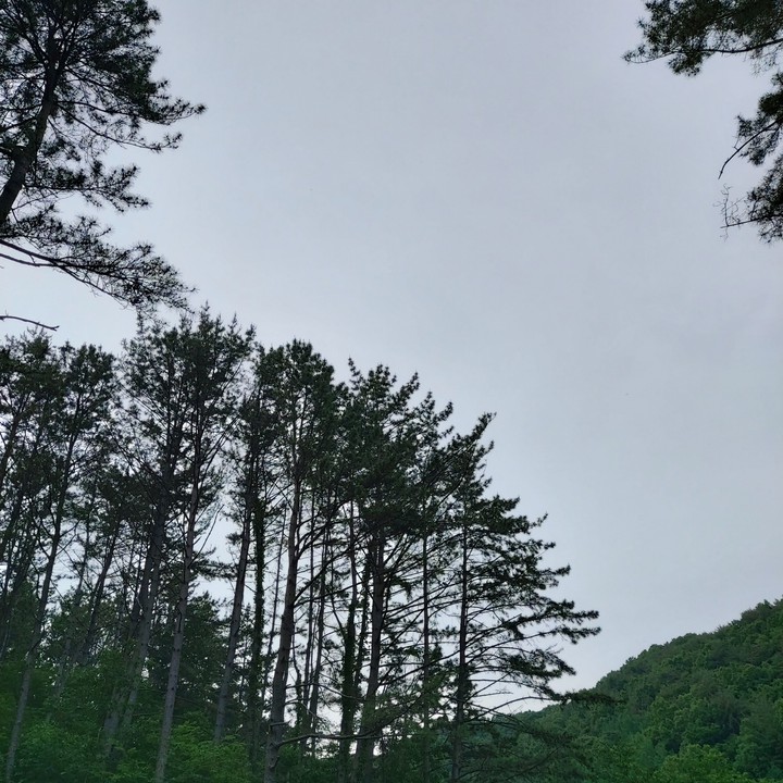 풍경