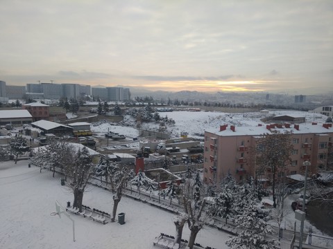 şehir 4