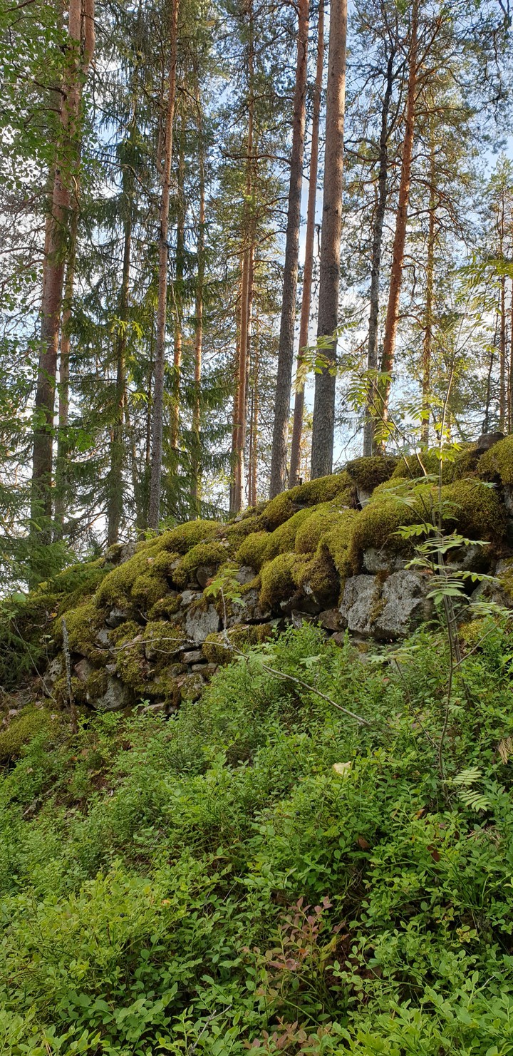 Sulkava,  Finland