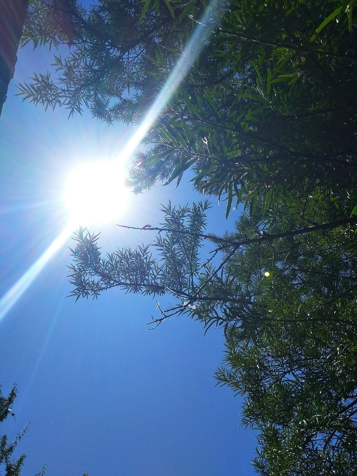 Sun