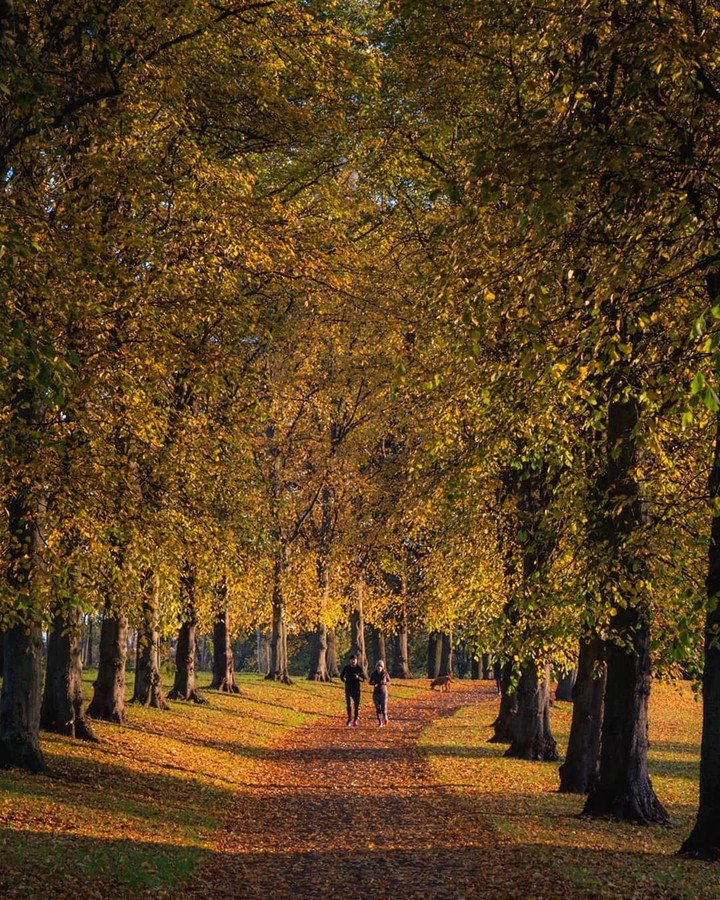 romantic autumn in Edinburgh