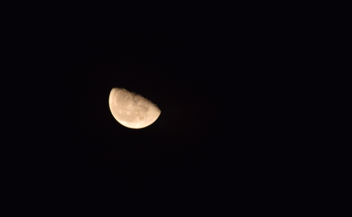 Moon