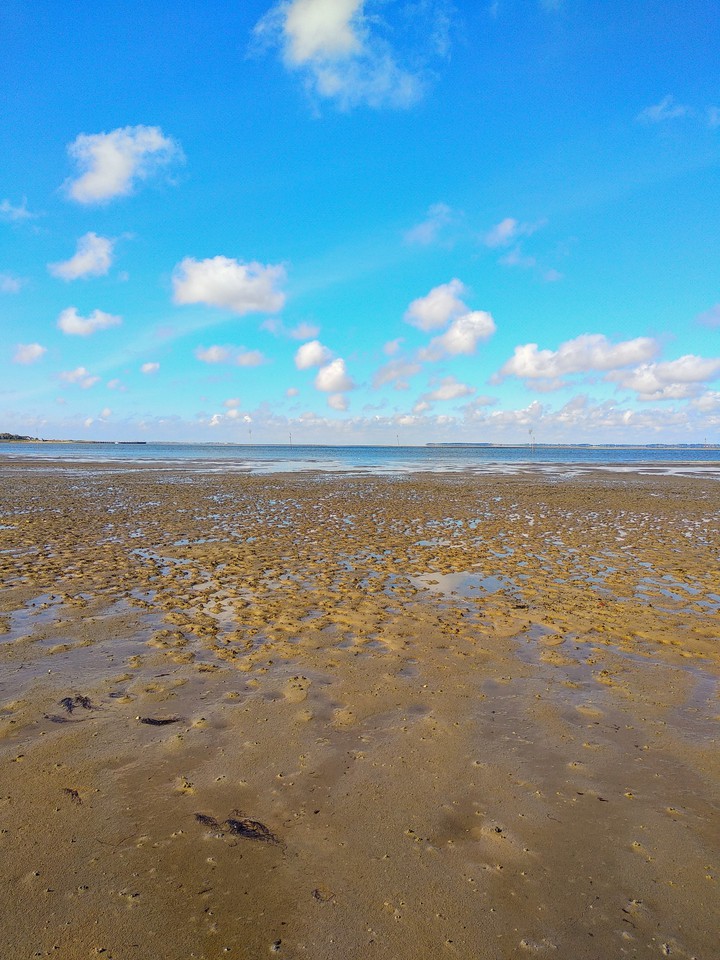 Insel Amrum Wattenmeer