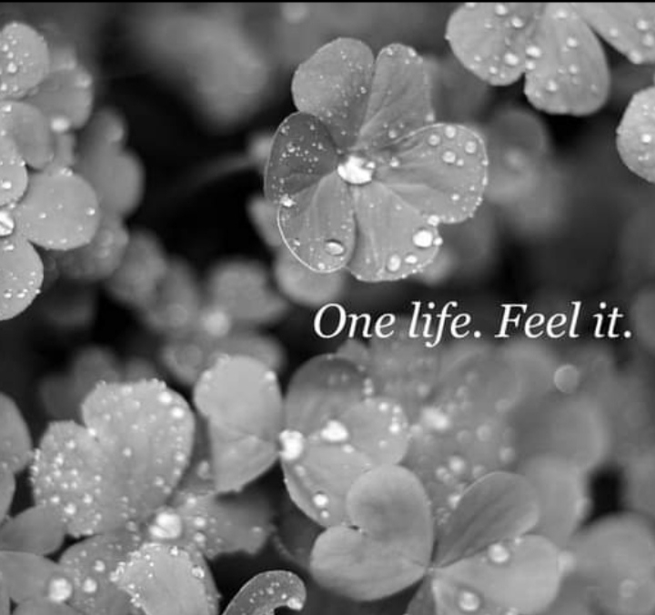 Y❤️      LIFE......