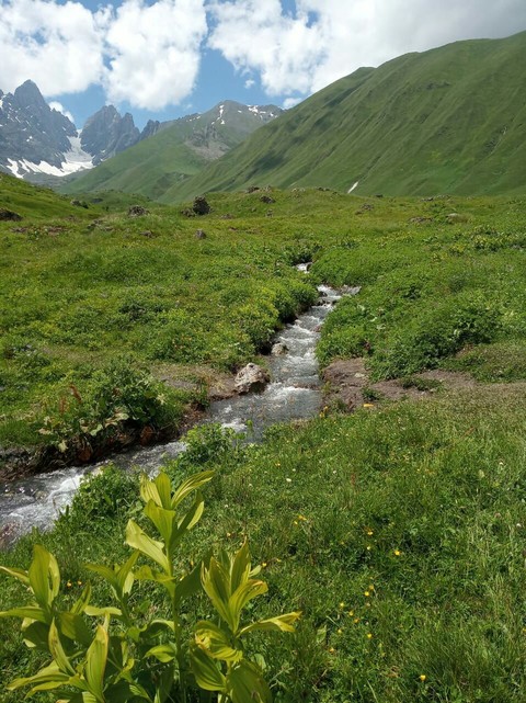 #abudelaurilakes #georgia #mountain