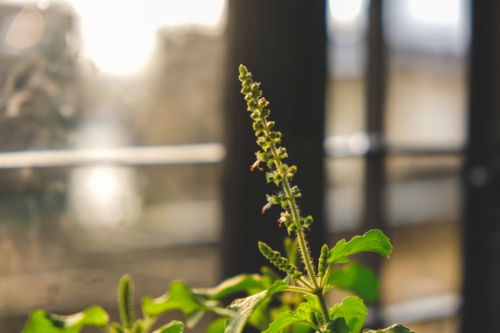 fresh beginning...