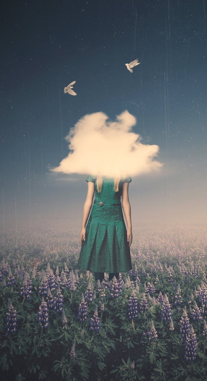Imagination