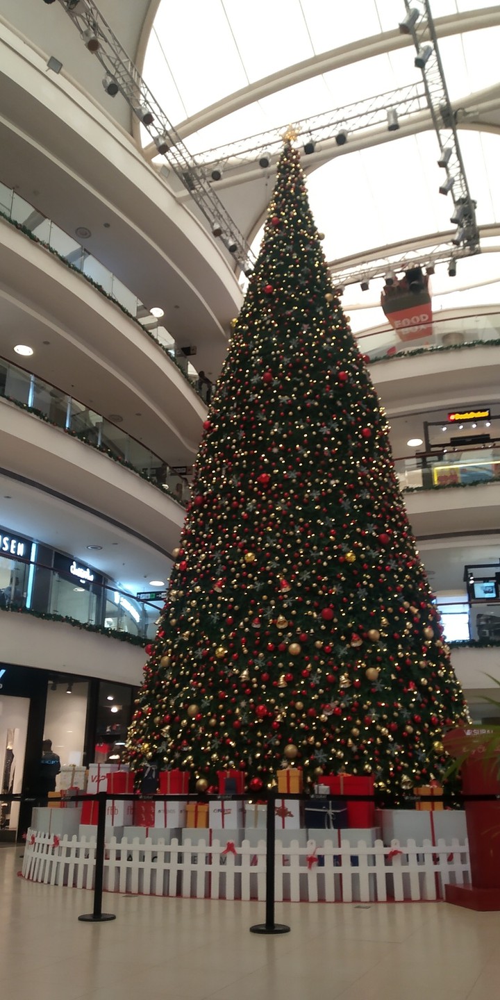 Christmas , Festival ,