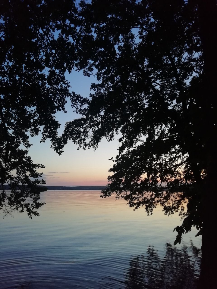 nature
