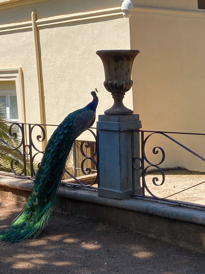 .