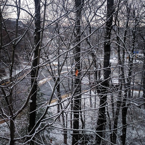 Still a little fall
