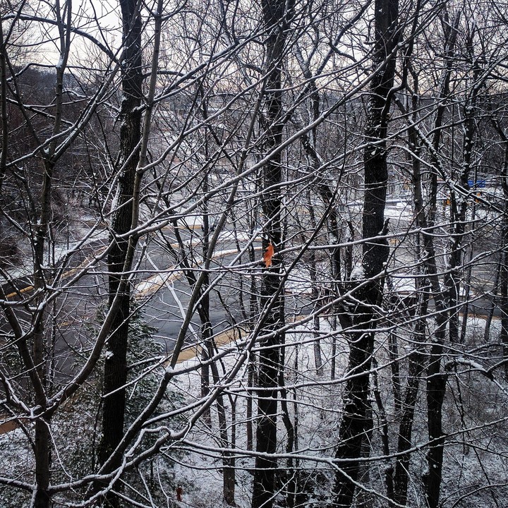 Still a little fall