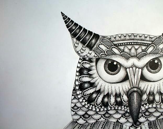 Owl mandala