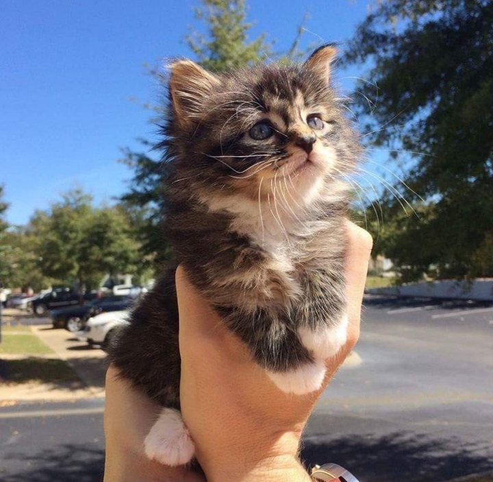 cute