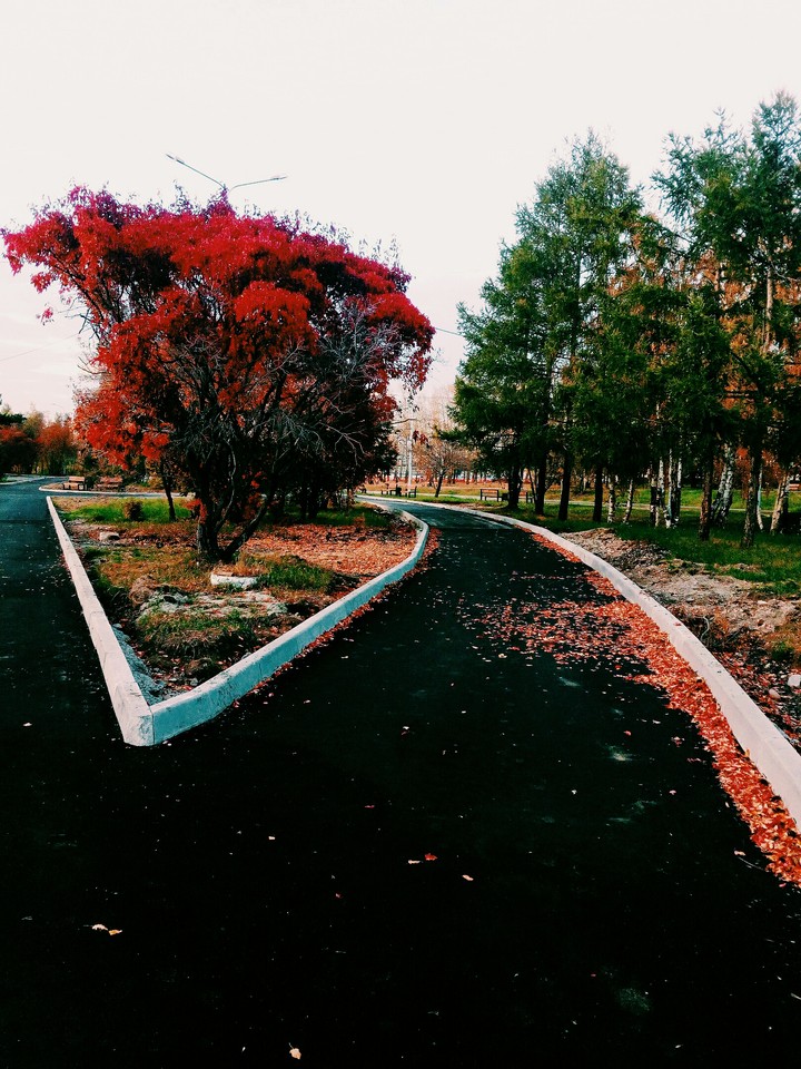 Autumn Park