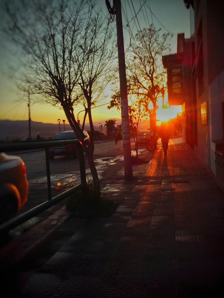 Avenida fascio