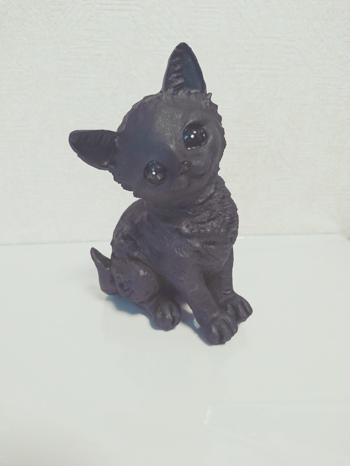 catฅ^•ﻌ•^ฅ