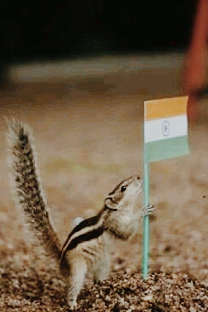 vandhe matharam