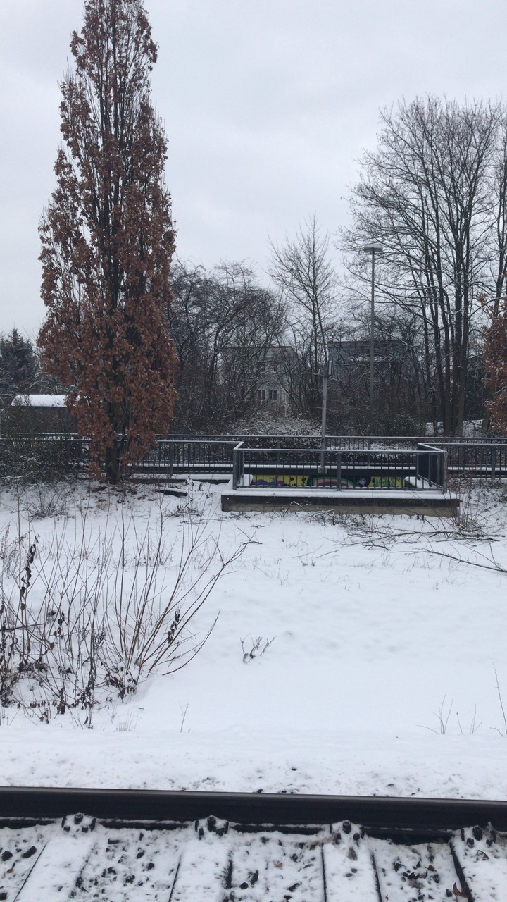 Snow