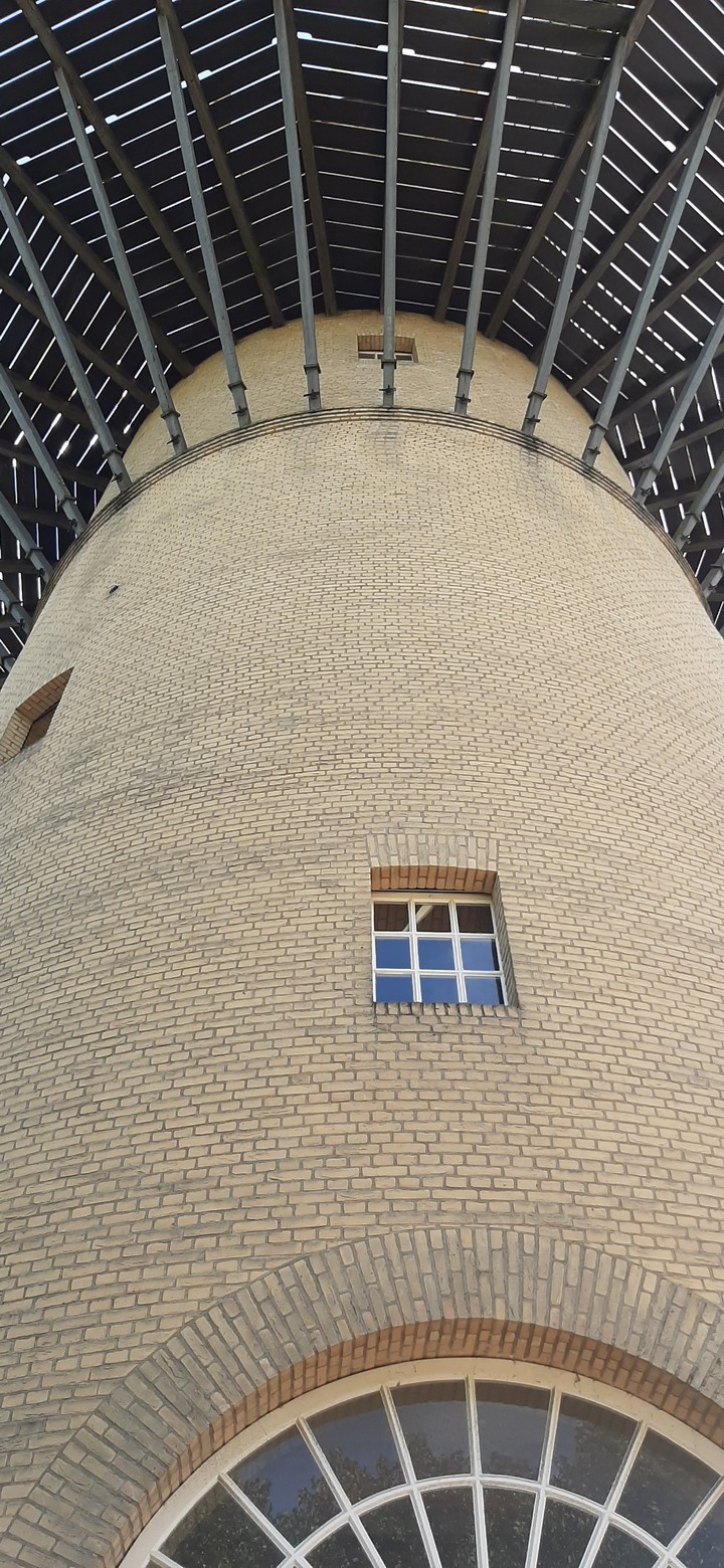 molen in Schiedam