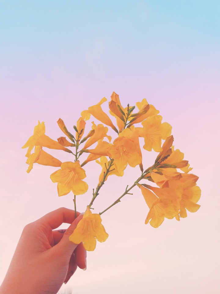 love Sky