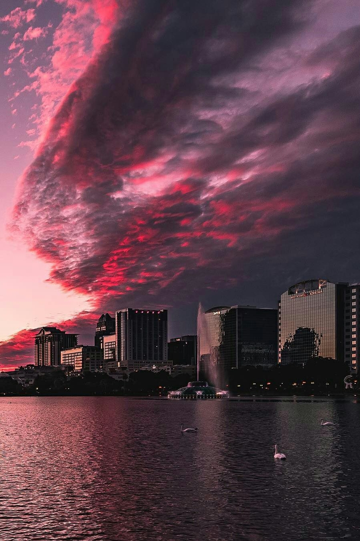 city