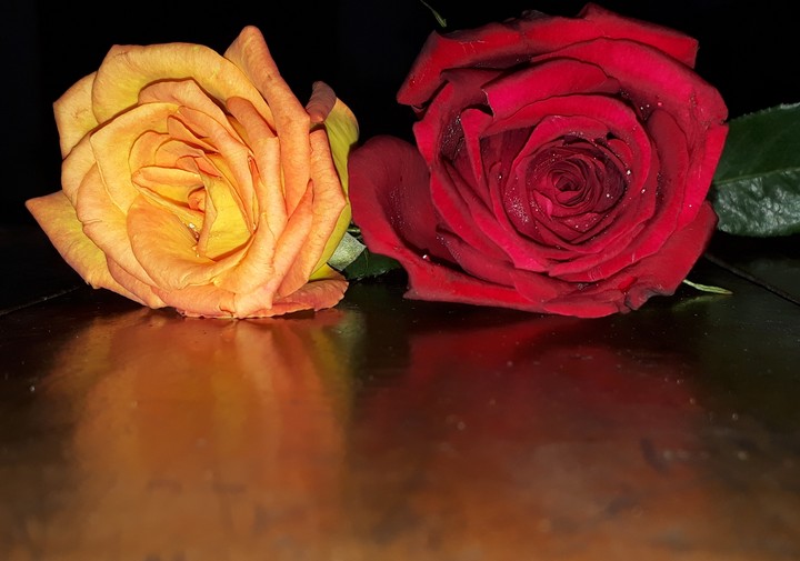 My valentine ??